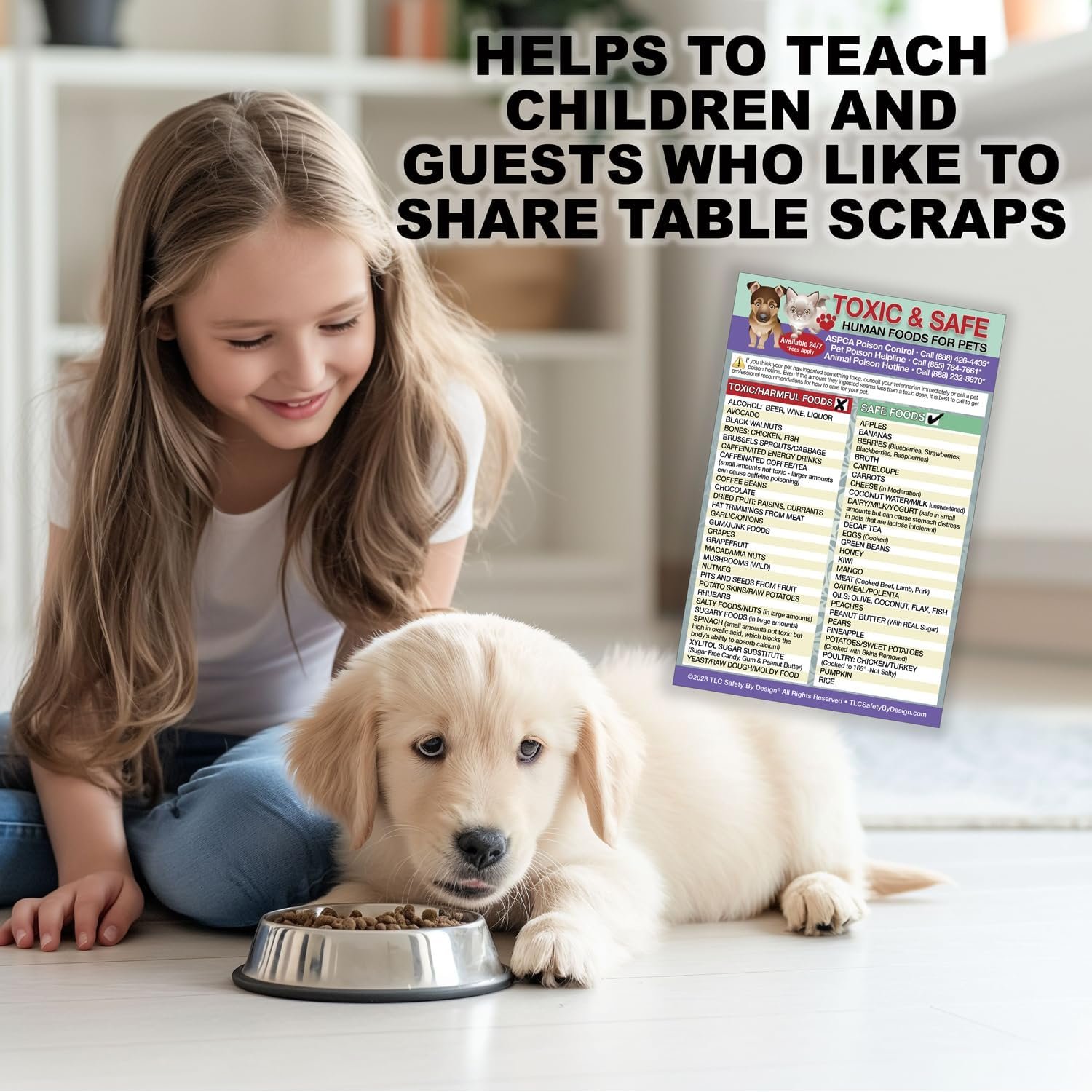 wholesale magnetic list toxic safe harmful foods for pets - dog cat feeding chart - people food dogs cats should not eat - chart decorative magnets - pet safety - pet adoption essentials gift 5.5 x 8.5 inches factory & supplier oem