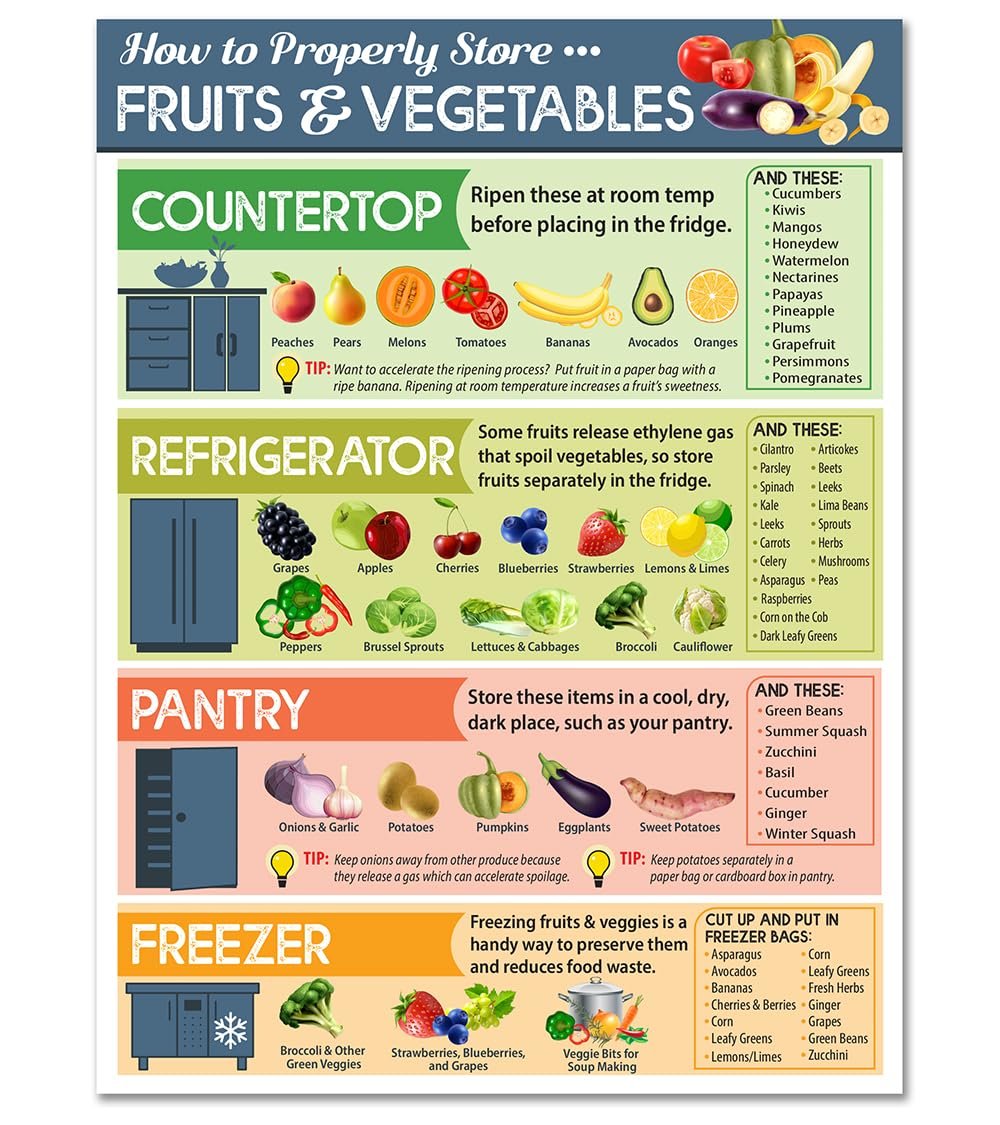 wholesale how to properly store vegetables and fruit magnets - kitchen cheat sheet magnet - fruit and vegetable magnets for fridge - 6
