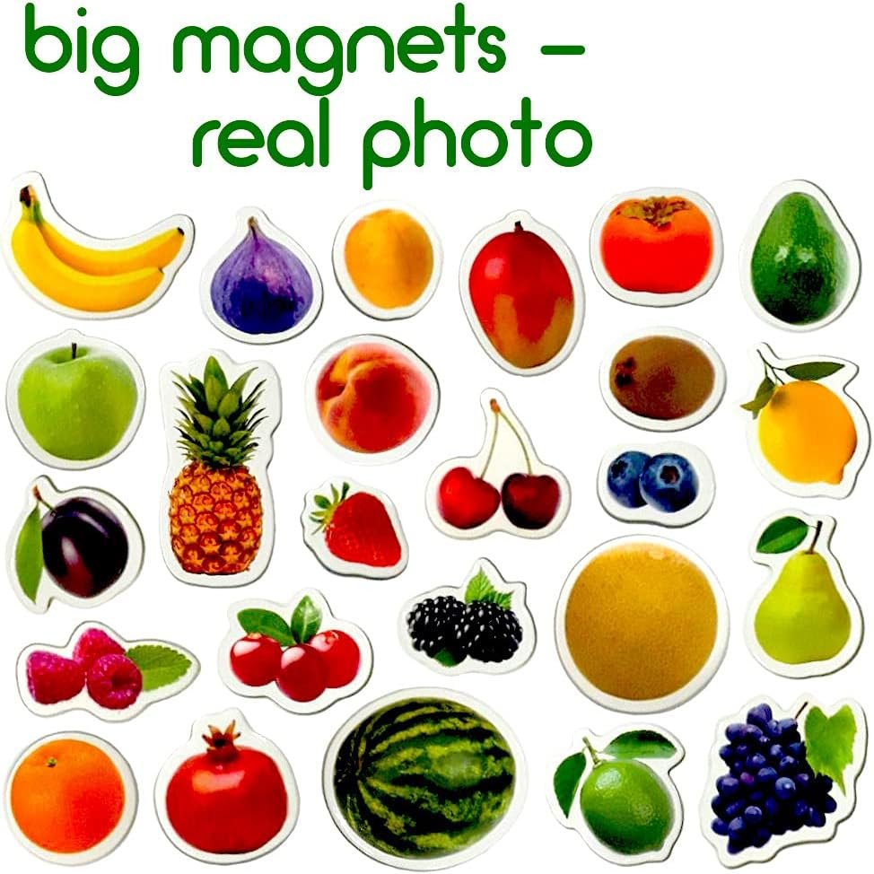wholesale photo fruits&berries - magnets for kitchen -real large fridge magnets for toddlers- magnetic educational toys baby 3 year old baby - learning magnets for kids- kid magnets - development toys factory & supplier oem