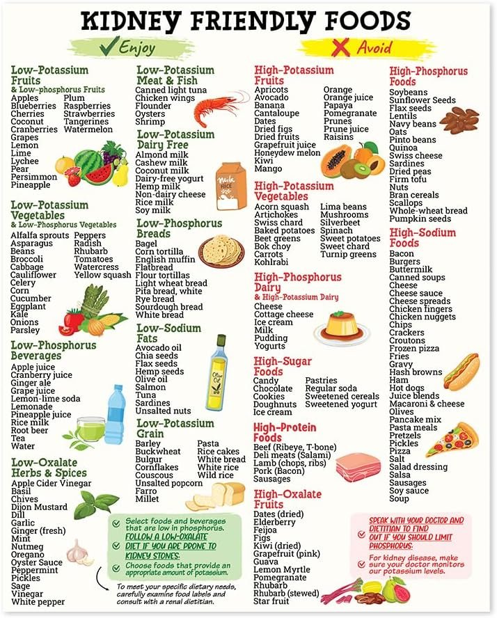 wholesale kidney friendly food list poster 8
