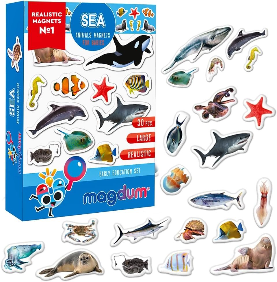 wholesale fridge magnets for toddlers - 30 sea photo kids magnets for fridge - toddler magnets for refrigerator - magnetic animals - fridge magnets for kids - animal magnets - toddler fridge magnets factory & supplier oem
