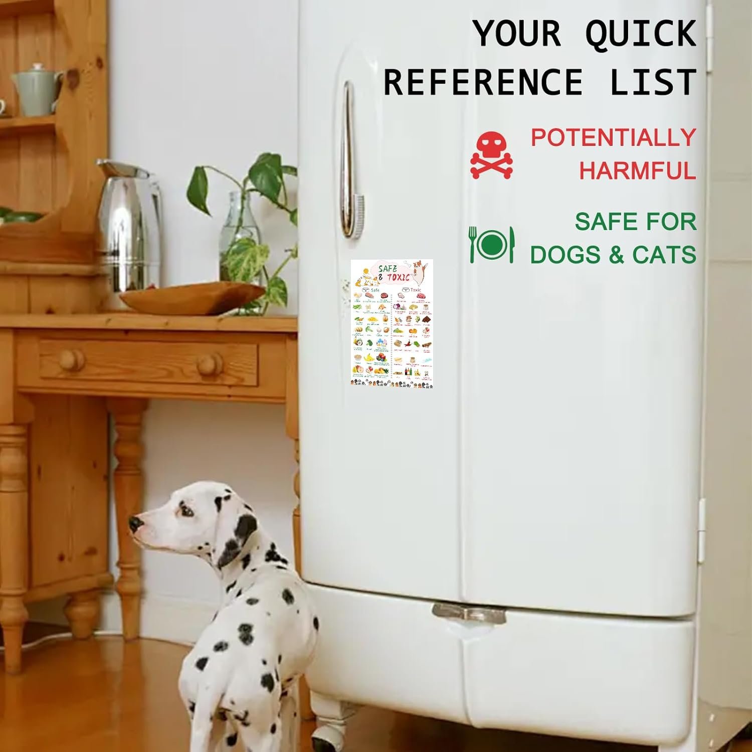 wholesale magnetic safe foods guide for dogs and cats,dog feeding chart fridge magnet,foods dogs shouldnt eat chart decorative magnets,dog safety emergency numbers magnet-11.8