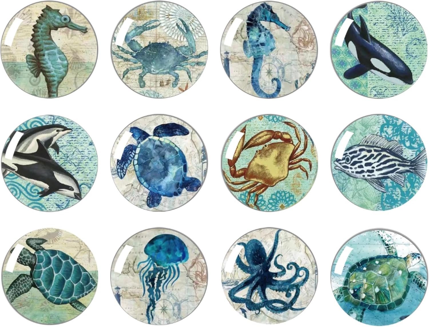 wholesale strong glass refrigerator stickers,12pcs magnets for fridge,funny fridge magnet shape,cute small tiny magnet for kitchen whiteboard door decorative (marine animals refrigerator stickers) factory & supplier oem