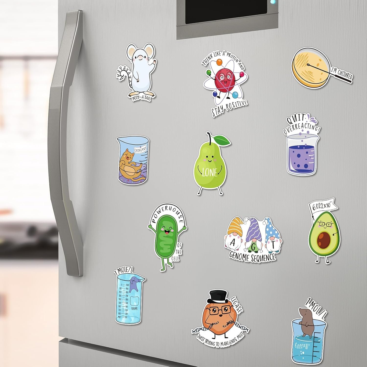 wholesale 25 pcs funny fridge magnets punny chemistry fridge reusable natural sciences magnets funny biology refrigerator for work home car locker cabinet gifts decoration factory & supplier oem