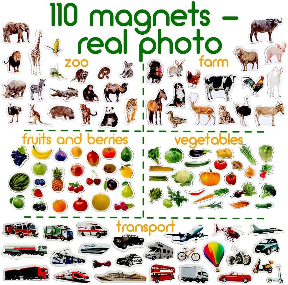 wholesale 110 fridge magnet for toddlers in gift tin box kids magnets for fridge - realistic magnetic animals for refrigerator - safe educational materials for baby: zoo, farm, fruits, vegetables, transport factory & supplier oem