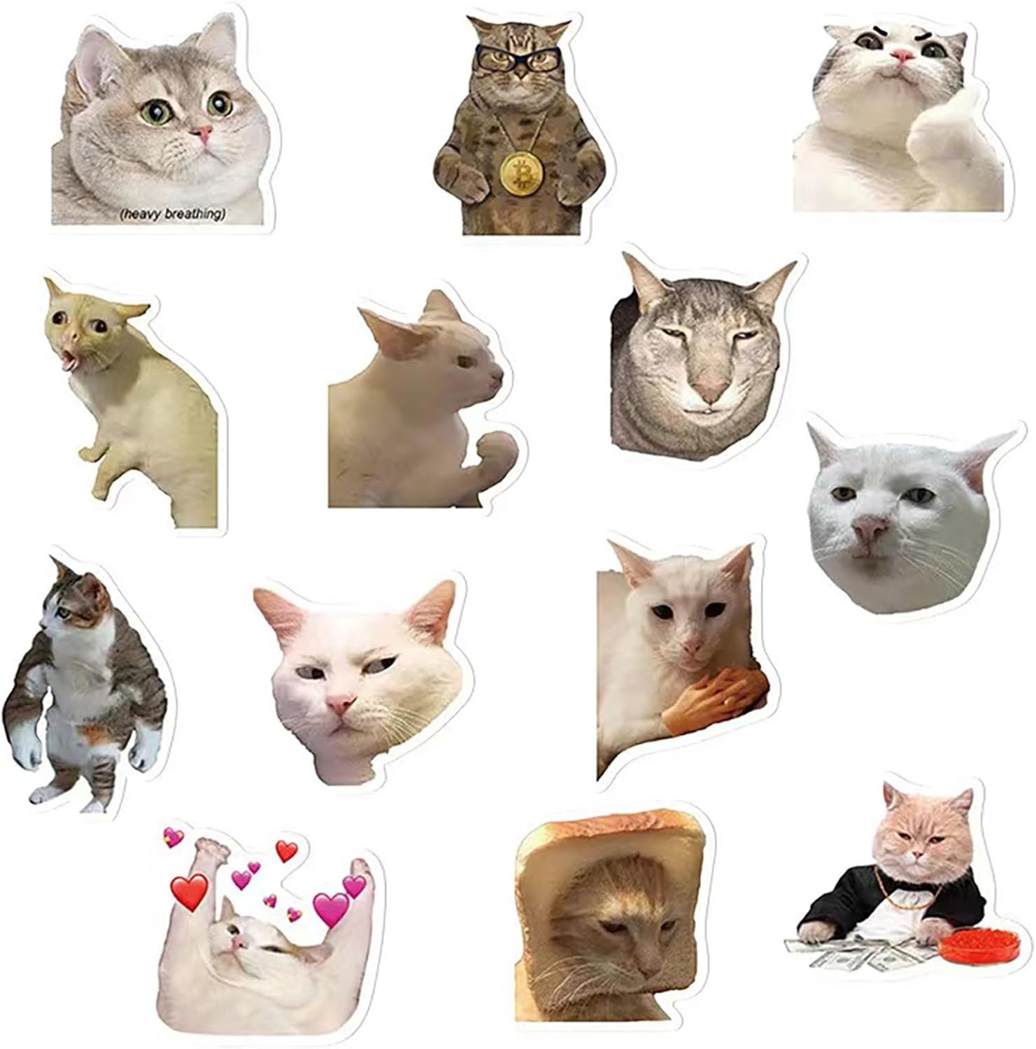 wholesale lovely funny fridge magnets cat meme fasteners on home& kitchen; applicable on refrigerator, car, office cabinets, dishwasher and whiteboard the most interesting birthday gift (13 pieces) factory & supplier oem