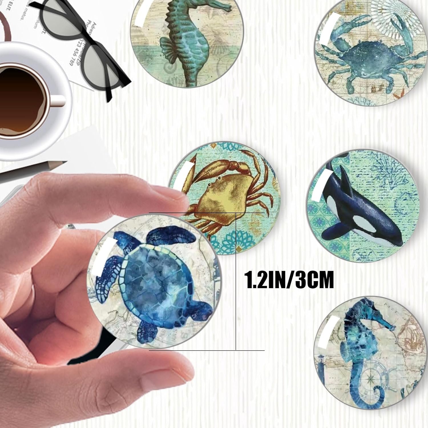 wholesale strong glass refrigerator stickers,12pcs magnets for fridge,funny fridge magnet shape,cute small tiny magnet for kitchen whiteboard door decorative (marine animals refrigerator stickers) factory & supplier oem