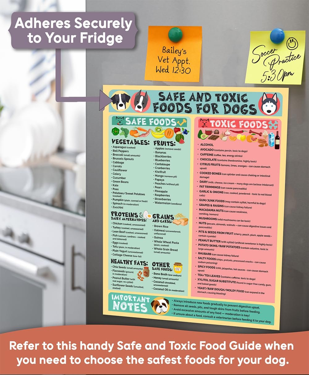 wholesale magnetic 8.5x11 safe and toxic foods for dogs magnet – pet safety chart and canine nutrition guide, waterproof & humidity- (pack of 1) factory & supplier oem