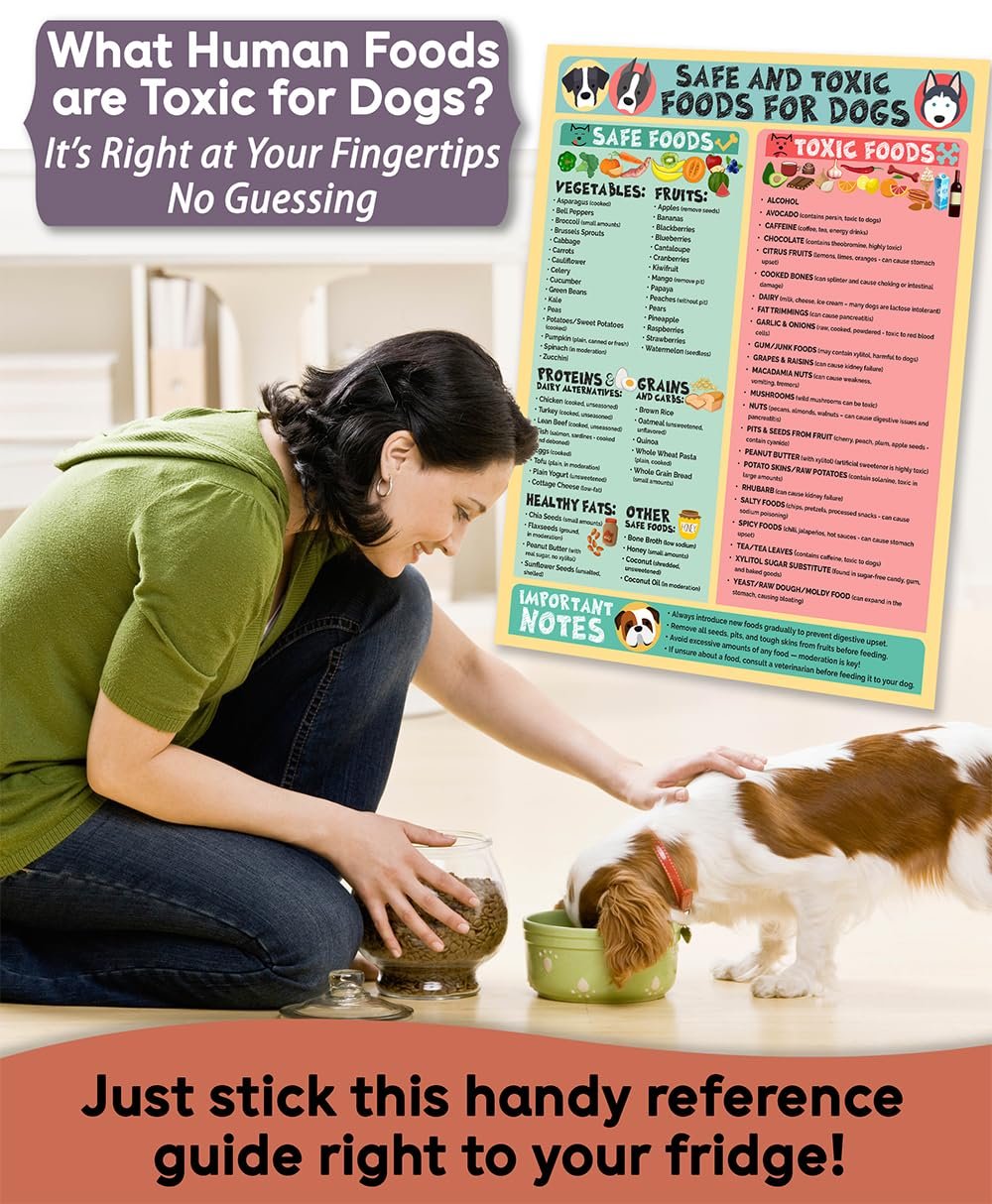 wholesale magnetic 8.5x11 safe and toxic foods for dogs magnet – pet safety chart and canine nutrition guide, waterproof & humidity- (pack of 1) factory & supplier oem