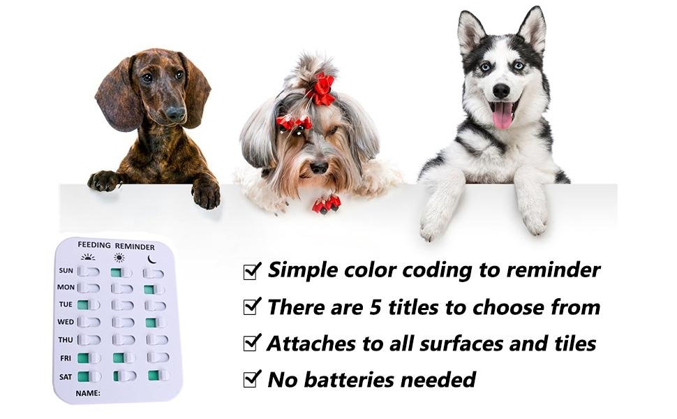 wholesale pet feeding reminder for dogs cats - magnetic sticker 3 times a day indication chart feed your pets, magnets and double sided tape, did you feed your dog cat fish kid? factory & supplier oem