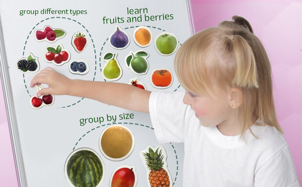 wholesale photo fruits&berries - magnets for kitchen -real large fridge magnets for toddlers- magnetic educational toys baby 3 year old baby - learning magnets for kids- kid magnets - development toys factory & supplier oem