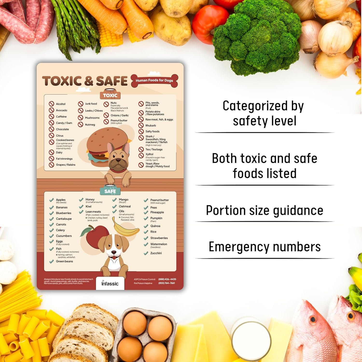 wholesale food dogs shouldn’t eat magnet | list of toxic and safe food for dogs chart | food canines can & cannot eat magnetic cheat sheet | can my pet consume this | harmful human food for pets - 5.5” x 8.5” factory & supplier oem