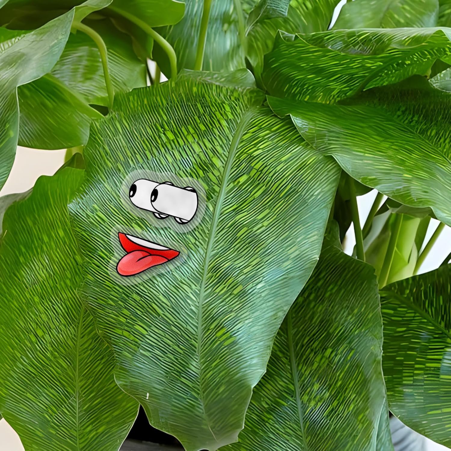 wholesale tbwhl magnets eyes mouth for potted plants, 10 pcs monster magnet eyes and mouth, funny fridge magnets for whiteboard, office, kitchen, indoor outdoor plant accessories factory & supplier oem