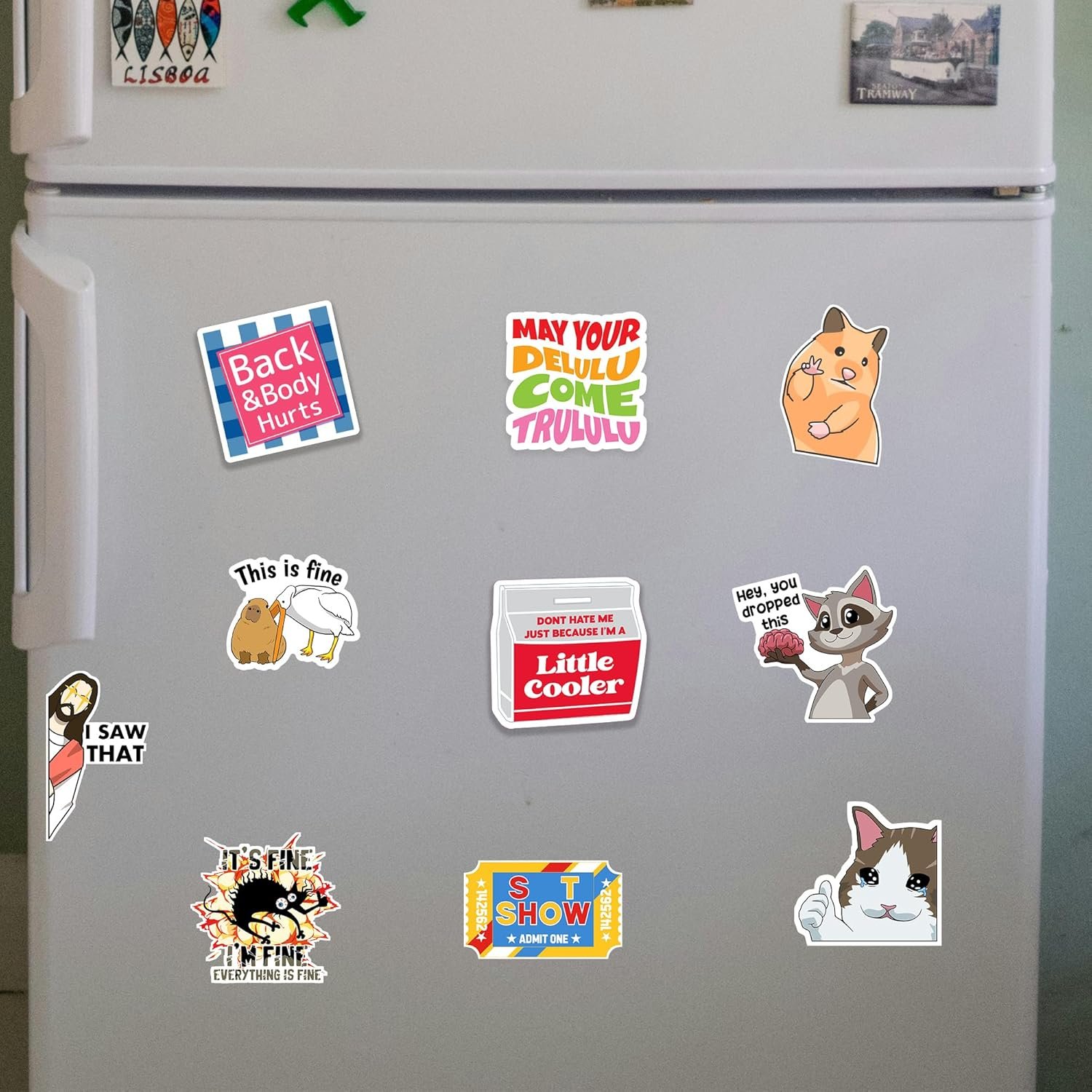 wholesale debinolo 16 pcs funny fridge magnets for adults, and words for refridgerator cabinet door dishwasher filing cabinets tool box home/office decoration factory & supplier oem