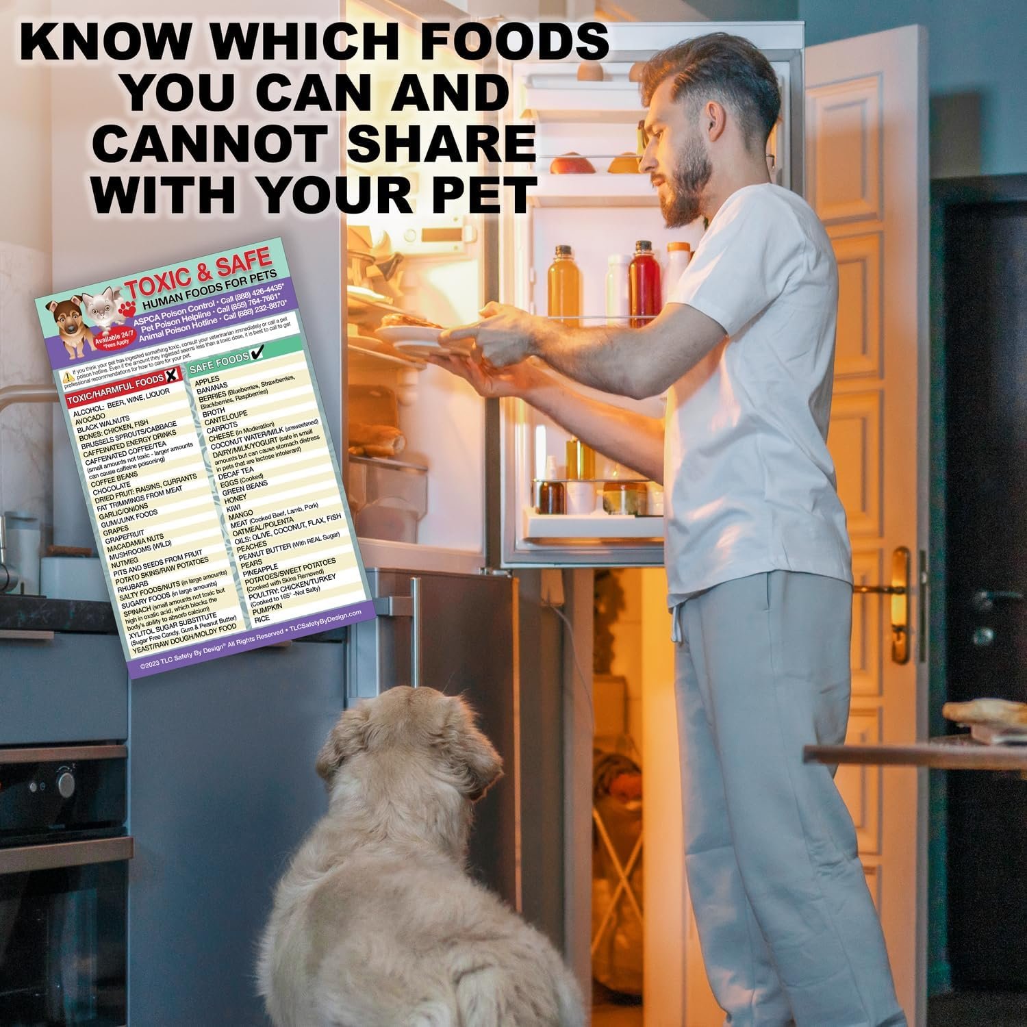 wholesale magnetic list toxic safe harmful foods for pets - dog cat feeding chart - people food dogs cats should not eat - chart decorative magnets - pet safety - pet adoption essentials gift 5.5 x 8.5 inches factory & supplier oem