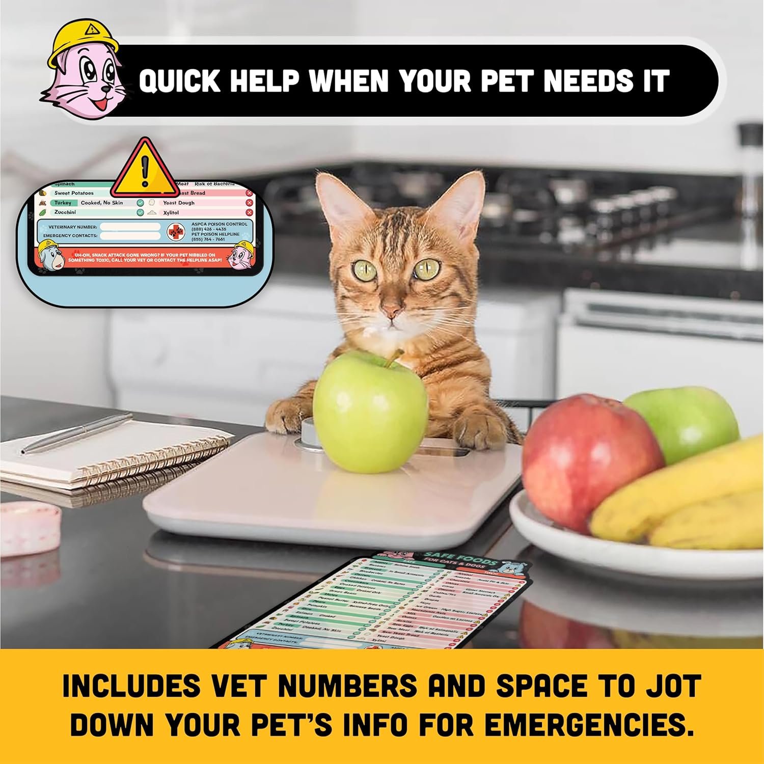 wholesale magnetic safe foods guide for dogs and cats | pet food safety magnet | cat & dog safety emergency numbers | 8.5