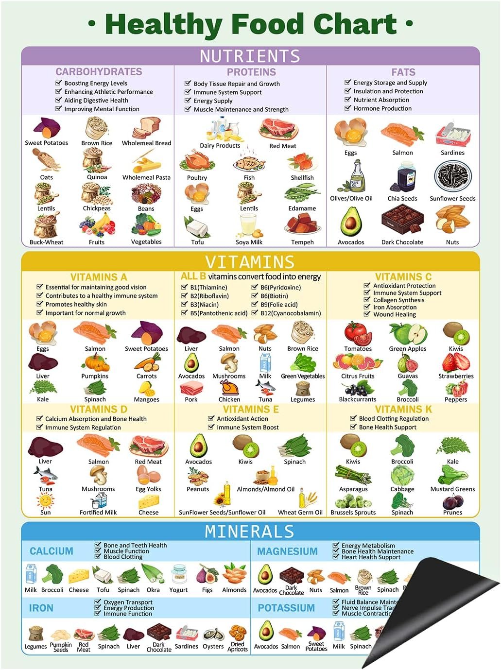 wholesale healthy food chart magnet, informative nutrition vitamins minerals fridge chart,nutrition posters,kitchen conversion chart-16
