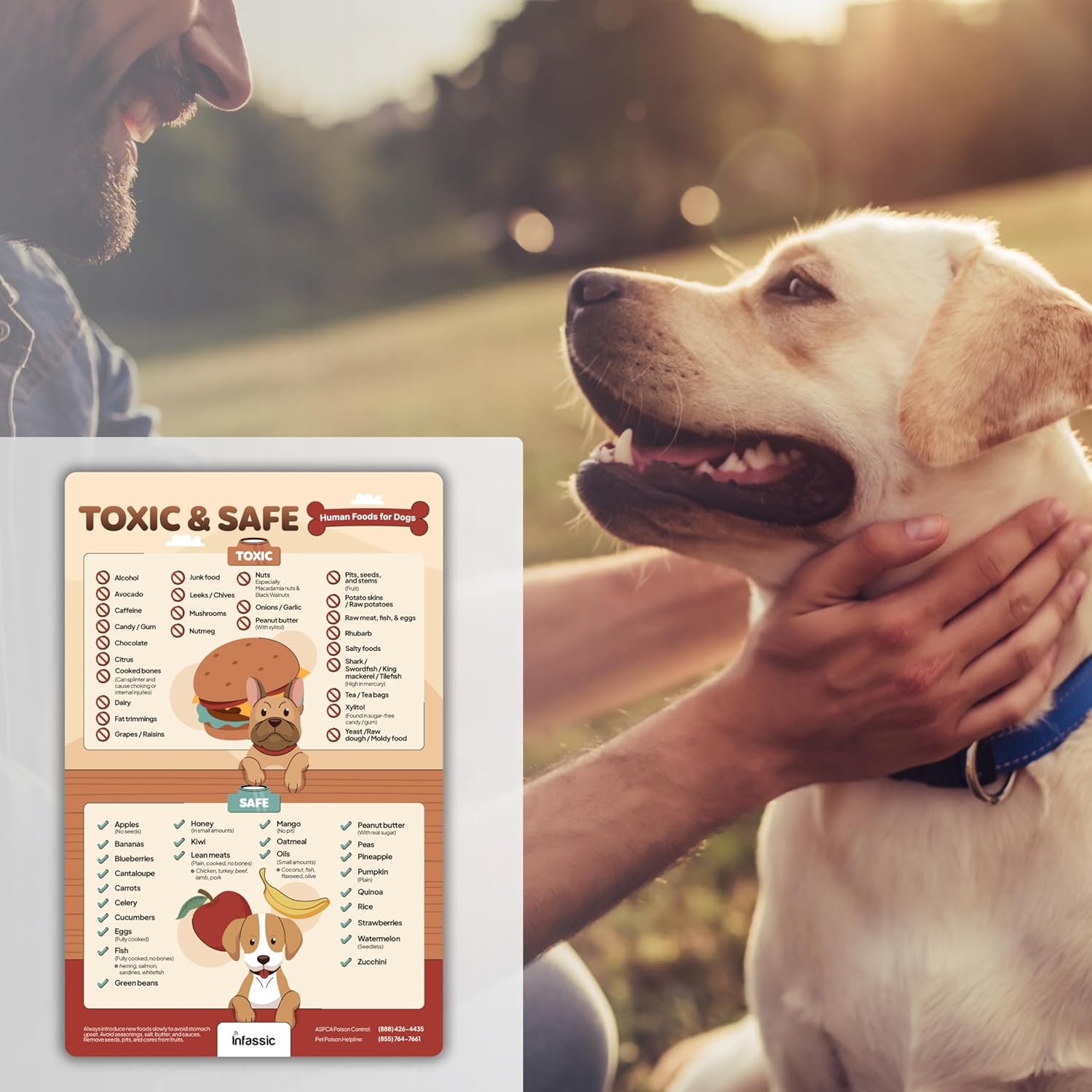wholesale food dogs shouldn’t eat magnet | list of toxic and safe food for dogs chart | food canines can & cannot eat magnetic cheat sheet | can my pet consume this | harmful human food for pets - 5.5” x 8.5” factory & supplier oem