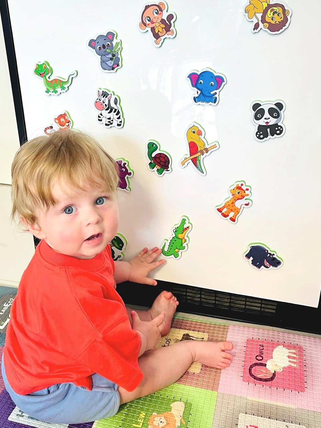 wholesale refrigerator magnets for kids zoo animals - big fridge magnets for toddlers - animal toys for toddlers 1-3 - developmental toys for 1 year old factory & supplier oem