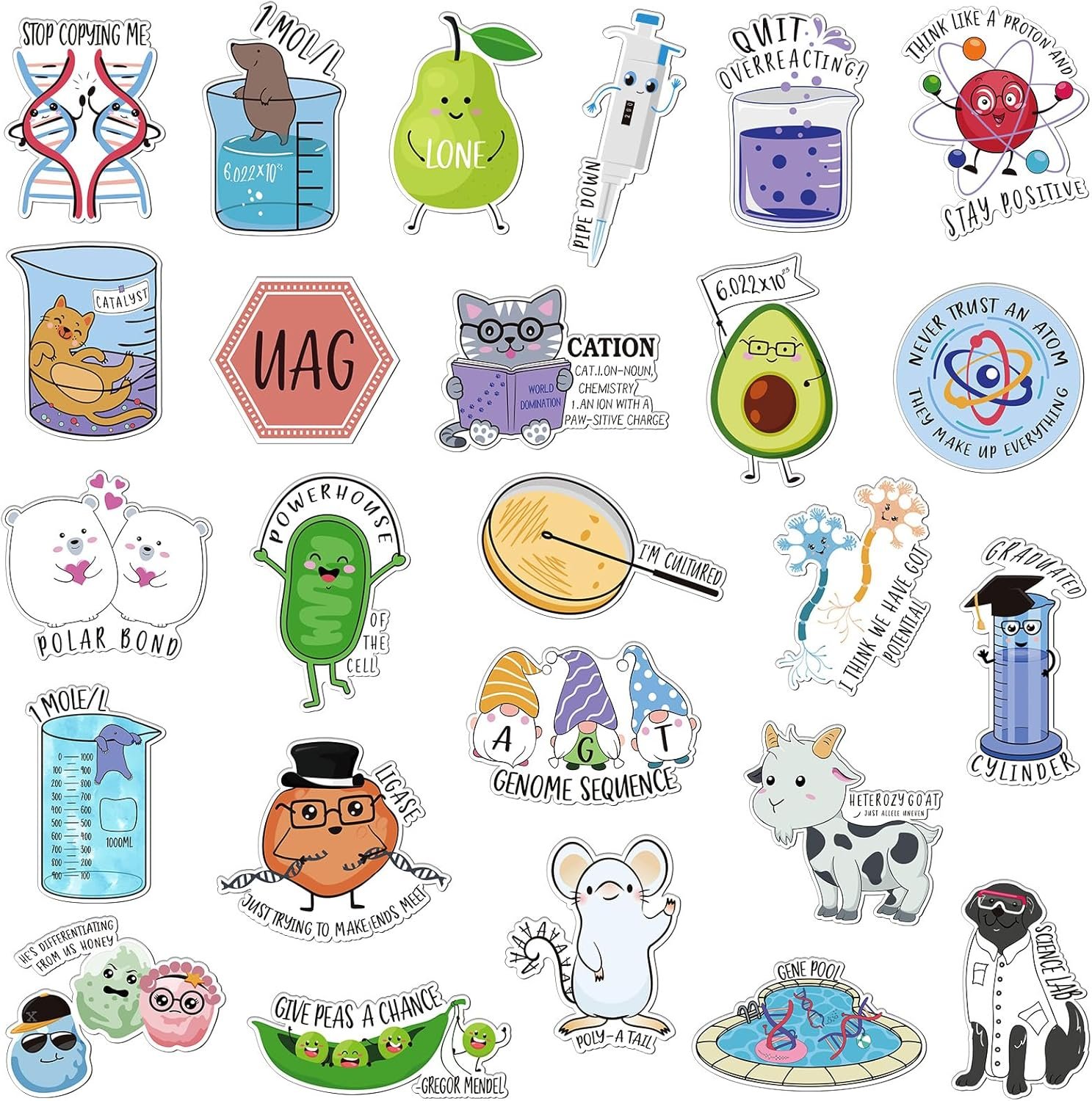 wholesale 25 pcs funny fridge magnets punny chemistry fridge reusable natural sciences magnets funny biology refrigerator for work home car locker cabinet gifts decoration factory & supplier oem