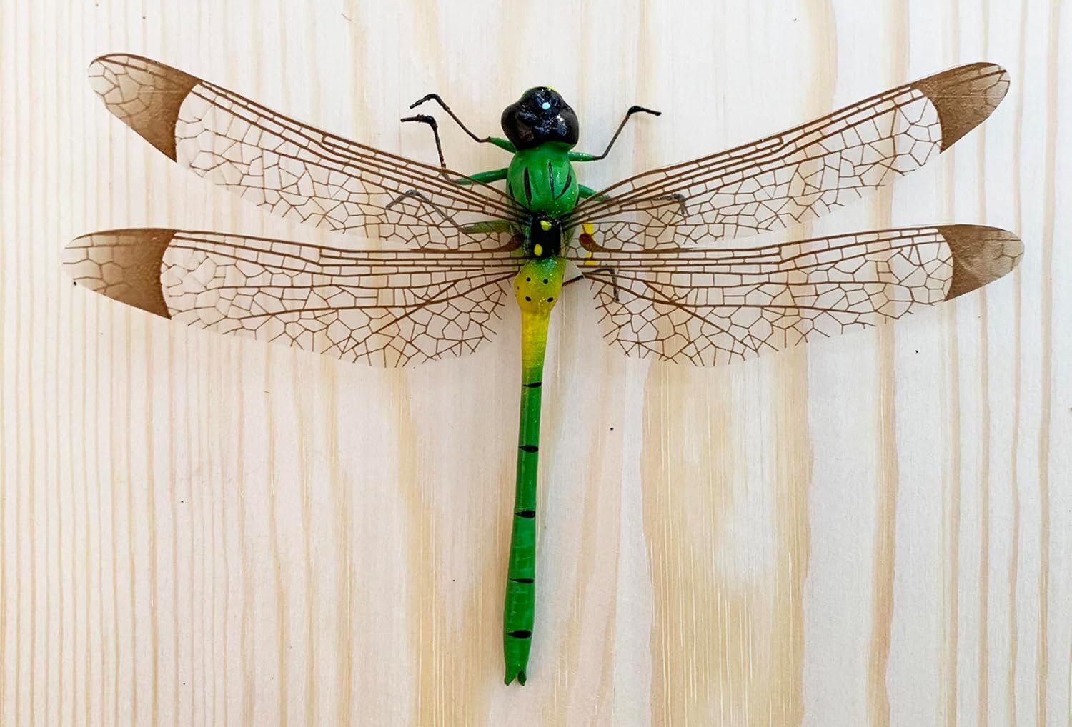 wholesale middle size dragonfly magnet, bug lover, refrigerator magnet, fridge magnet, cute animal magnets, wedding decoration, dragonfly lover factory & supplier oem