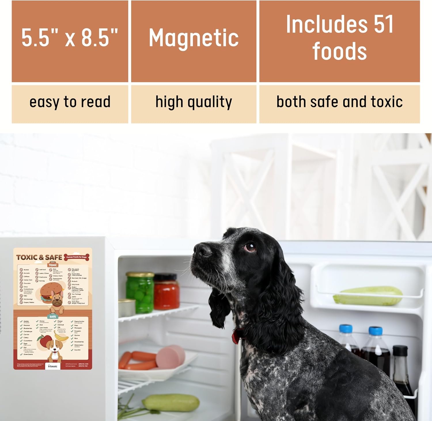 wholesale food dogs shouldn’t eat magnet | list of toxic and safe food for dogs chart | food canines can & cannot eat magnetic cheat sheet | can my pet consume this | harmful human food for pets - 5.5” x 8.5” factory & supplier oem
