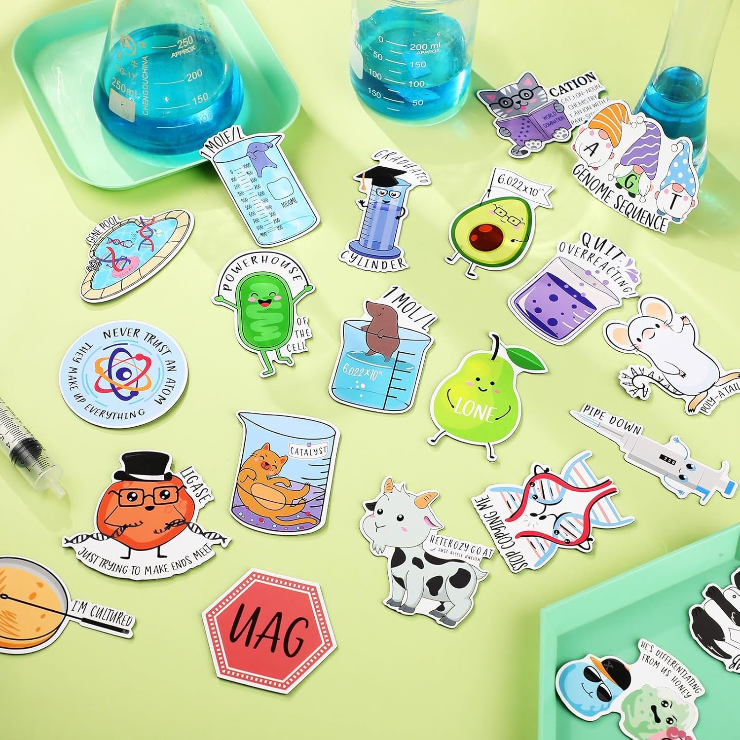 wholesale 25 pcs funny fridge magnets punny chemistry fridge reusable natural sciences magnets funny biology refrigerator for work home car locker cabinet gifts decoration factory & supplier oem