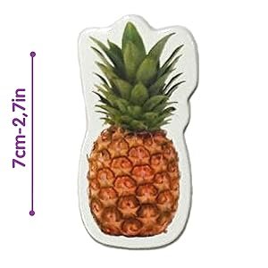 wholesale photo fruits&berries - magnets for kitchen -real large fridge magnets for toddlers- magnetic educational toys baby 3 year old baby - learning magnets for kids- kid magnets - development toys factory & supplier oem