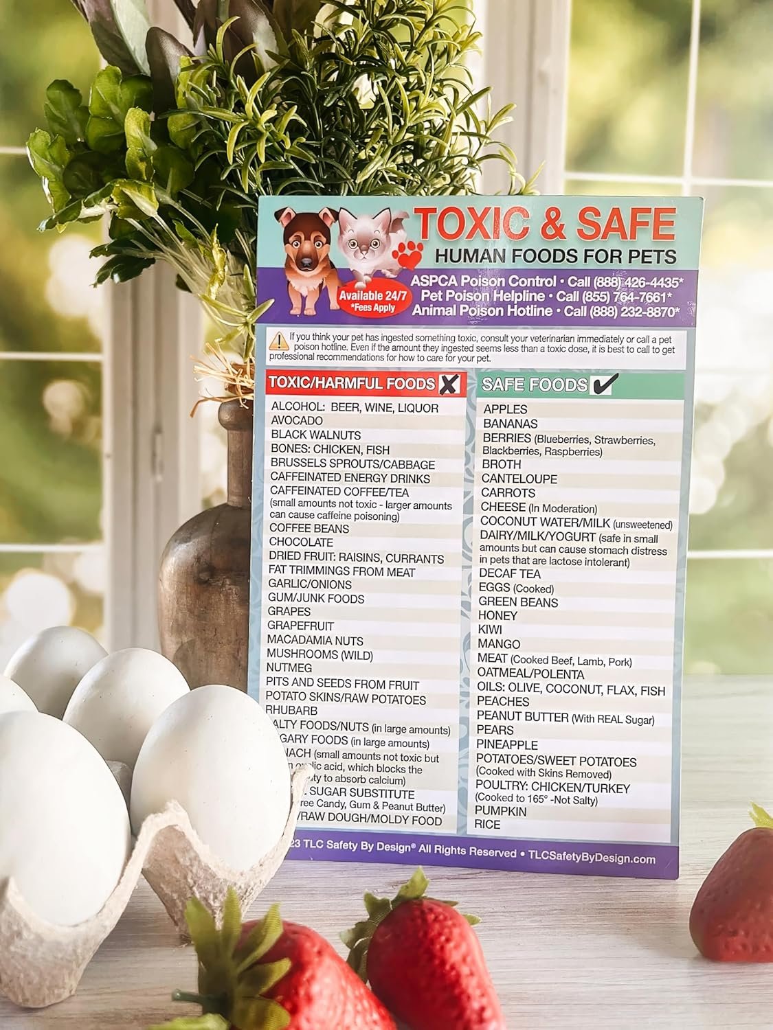 wholesale magnetic list toxic safe harmful foods for pets - dog cat feeding chart - people food dogs cats should not eat - chart decorative magnets - pet safety - pet adoption essentials gift 5.5 x 8.5 inches factory & supplier oem
