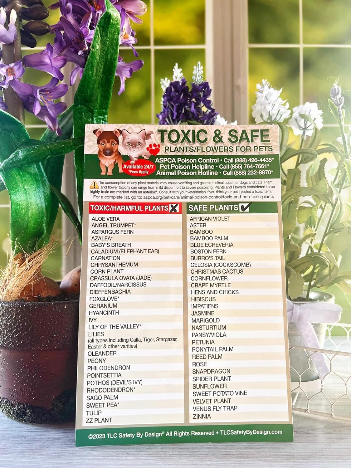 wholesale magnetic list toxic safe plants flowers for pets - dog cat chart - plants flowers dogs cats should not eat - chart decorative magnets - pet safety - pet adoption essentials gift 5.5 x 8.5 inches factory & supplier oem