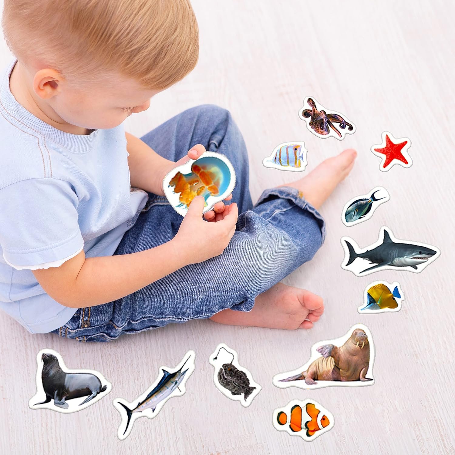 wholesale fridge magnets for toddlers - 30 sea photo kids magnets for fridge - toddler magnets for refrigerator - magnetic animals - fridge magnets for kids - animal magnets - toddler fridge magnets factory & supplier oem
