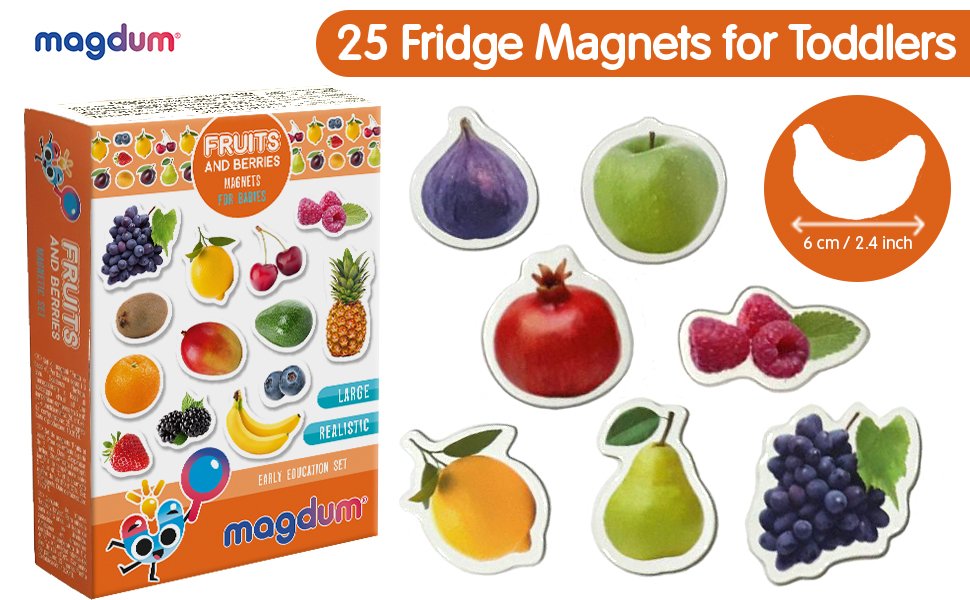 wholesale photo fruits&berries - magnets for kitchen -real large fridge magnets for toddlers- magnetic educational toys baby 3 year old baby - learning magnets for kids- kid magnets - development toys factory & supplier oem