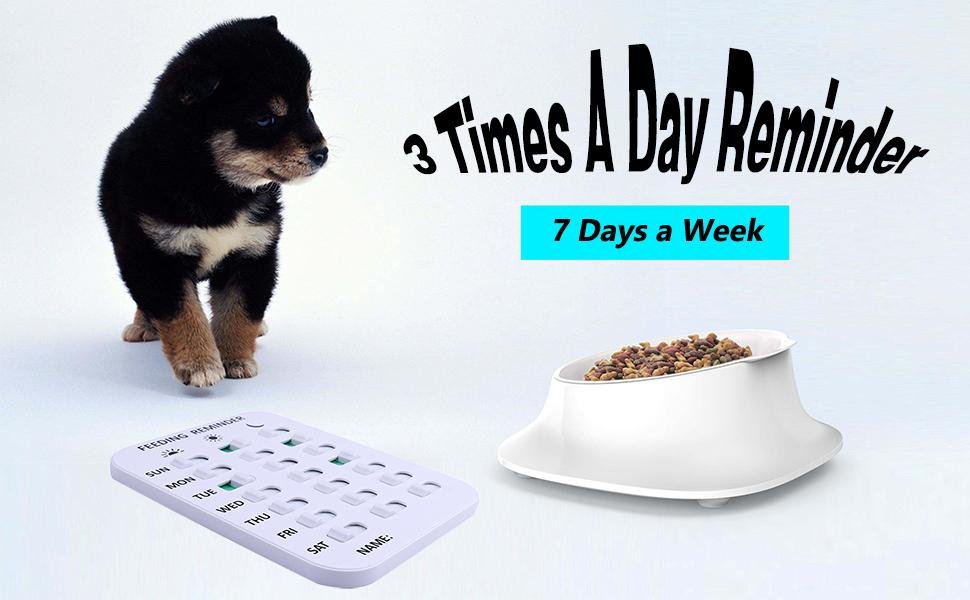 wholesale pet feeding reminder for dogs cats - magnetic sticker 3 times a day indication chart feed your pets, magnets and double sided tape, did you feed your dog cat fish kid? factory & supplier oem