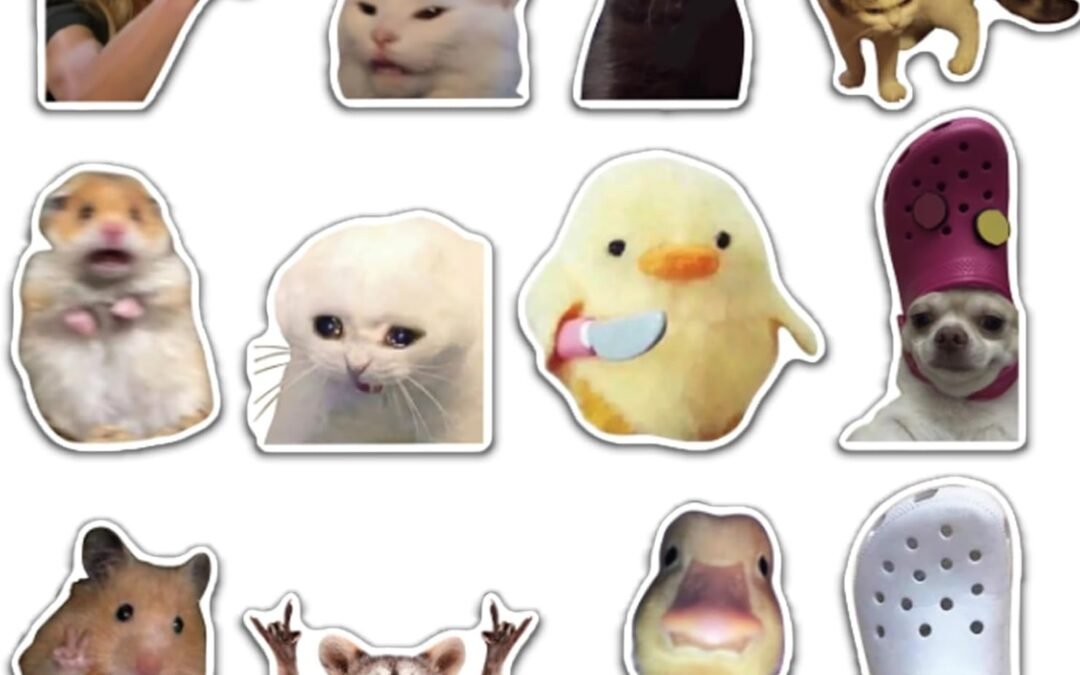Wholesale 12Pcs Funny Meme Magnets Animals Fridge Magnets, Adorable Cool Magnet Set Crying Cat Dog Hamster Duck Stickers for Locker & Fridge & Car & Cabinet Factory & Supplier OEM