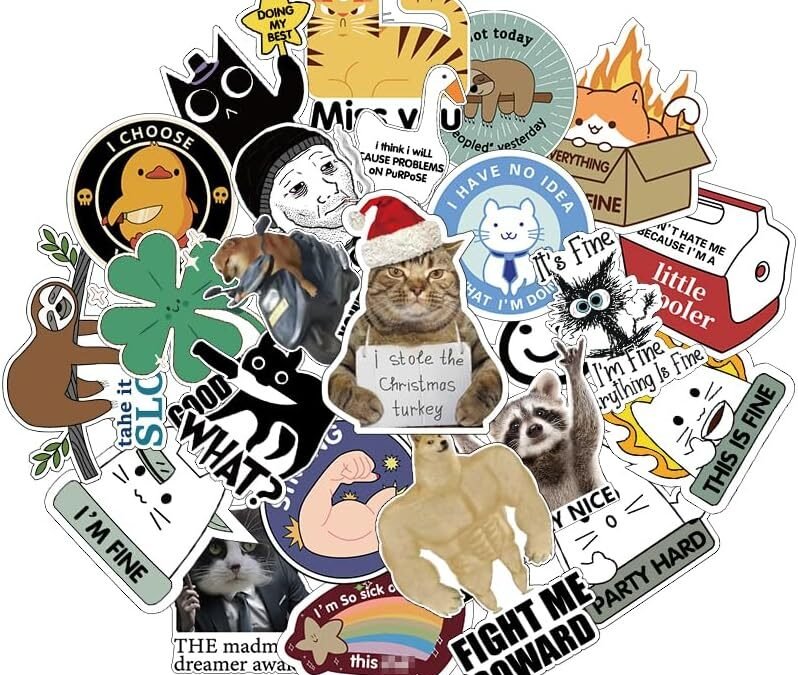 Wholesale 25PCS Fridge Magnets, Funny Memes, Cool Cat Fun Meme Magnets,Cute Animals and Words for Home Office Decoration Factory & Supplier OEM