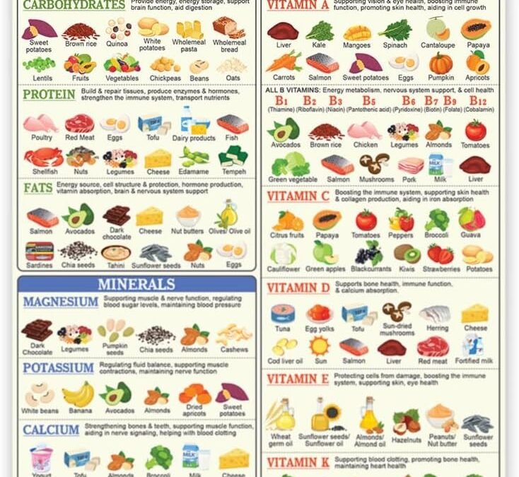 Wholesale 8×10″ Healthy Food Chart Magnet, Magnetic Fridge, Vitamin for Meal Planner Diet, Colourful Water Resistant Kitchen Guide, Minerals Healthy Eating, Nutrients Posters, Kitchen Decor Factory & Supplier OEM