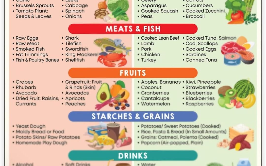 Wholesale 8×10 Toxic Food and Safe Foods for Dog Cat Magnet for Fridge Dog Cat Feeding Chart Poster – People Food Dogs Cats Should Not Eat Factory & Supplier OEM