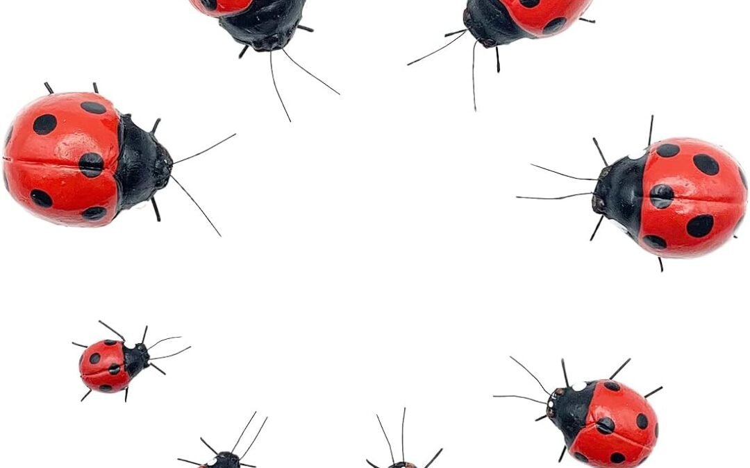 Wholesale Arsnature 8PCS Realistic Ladybugs Refrigerator Magnet – Magnetic Ladybugs for Fridge & Garden – Cute Magnet for Home, Kitchen, Office, Whiteboard Factory & Supplier OEM