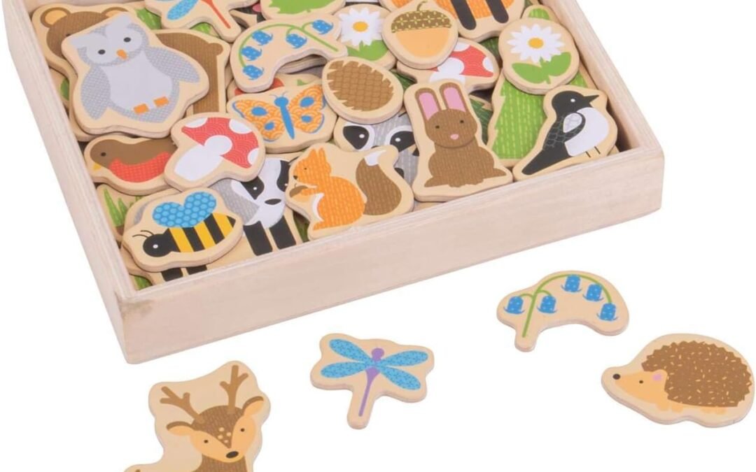 Wholesale Bigjigs Toys Wooden Woodland Magnets – 35 Magnets Factory & Supplier OEM