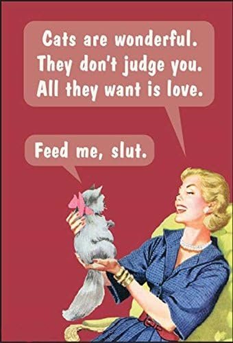 Wholesale Cats Are Wonderful. They Don’t Judge You…. funny fridge magnet (ep) Factory & Supplier OEM