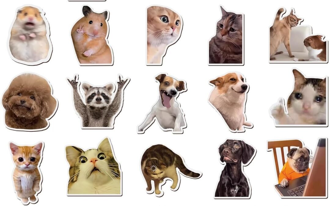 Wholesale Ceenna 25 Pcs Funny Magnets Cute Animals Fridge Magnets Fun Cat Dog Hamster Reusable Magnetic Decor for Locker Fridge Car Bumper Adult Accessories Funny Novelty Gift Factory & Supplier OEM