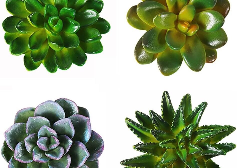 Wholesale CoCoMe Funny 3D Resin Succulent Fridge Refrigerator Magnets, Set of 4 Factory & Supplier OEM