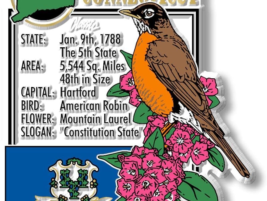 Wholesale Connecticut State Montage Magnet by Classic Magnets, 2.9″ x 3.2″, Collectible Souvenirs Made in The USA Factory & Supplier OEM