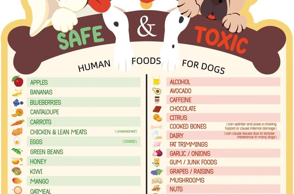 Wholesale Dog Feeding Chart Fridge Magnet, Food Dogs Can or Can’t Eat 9.75×6.75in Feeding Sign Safe Food Chart Nutrition Guide for Pet New Puppy Essentials Factory & Supplier OEM