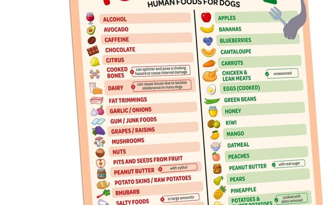 Wholesale EBPP Magnetic List of Foods Dogs Can Eat – Dog Feeding Chart Fridge Magnet – Foods Dogs Shouldnt Eat Chart Decorative Magnets – Dog Safety Emergency Numbers Magnet – New Puppy Essentials 9.75″ x 6.75″ Factory & Supplier OEM