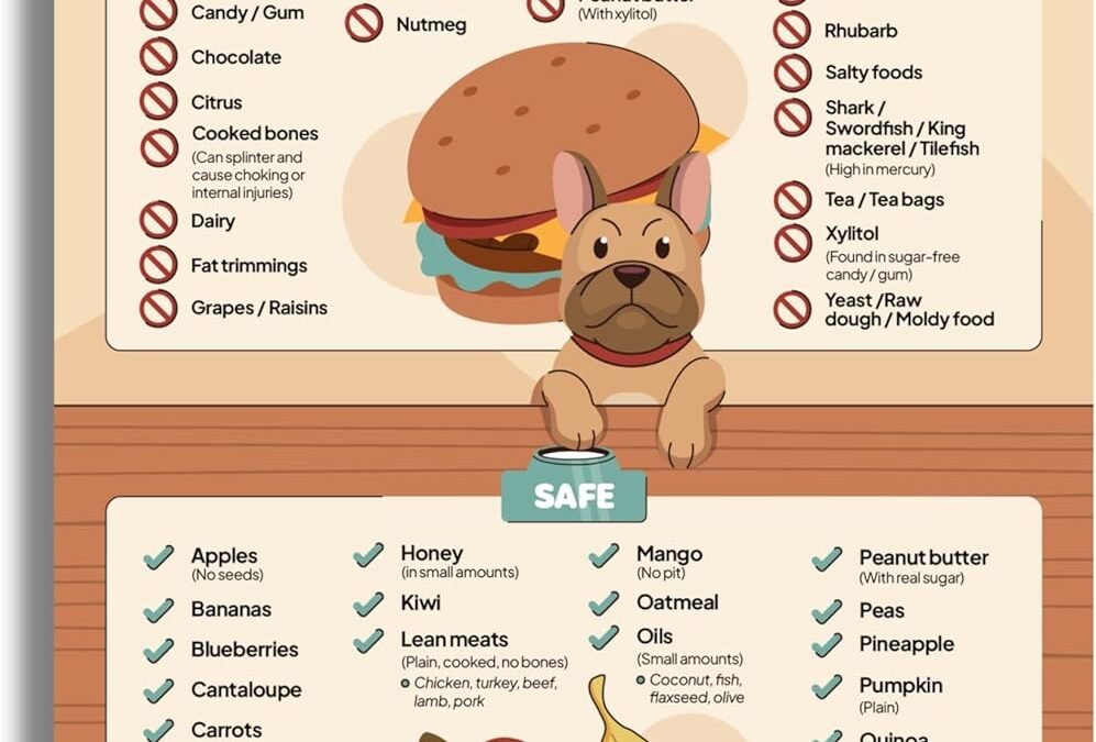 Wholesale Food Dogs Shouldn’t Eat Magnet | List of Toxic and Safe Food for Dogs Chart | Food Canines Can & Cannot Eat Magnetic Cheat Sheet | Can My Pet Consume This | Harmful Human Food for Pets – 5.5” x 8.5” Factory & Supplier OEM