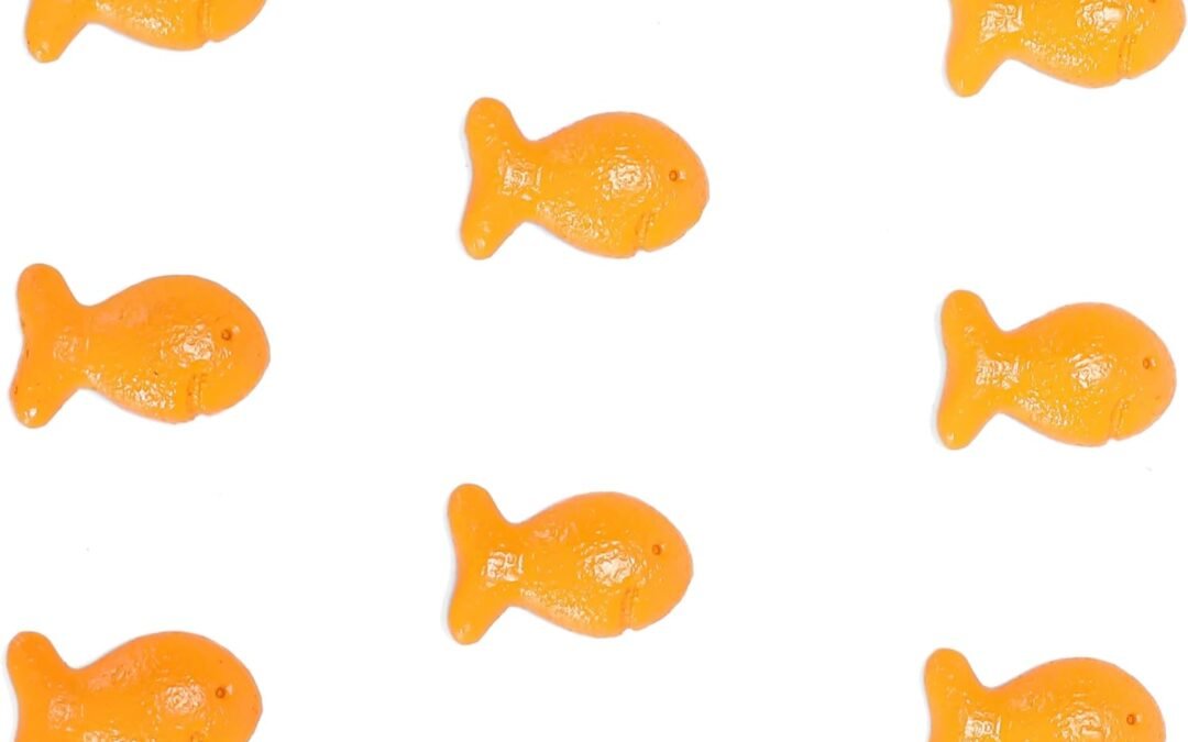Wholesale Goldfish Resin Fridge Magnets – Pack of 8 – Funny Refrigerator Magnets Factory & Supplier OEM