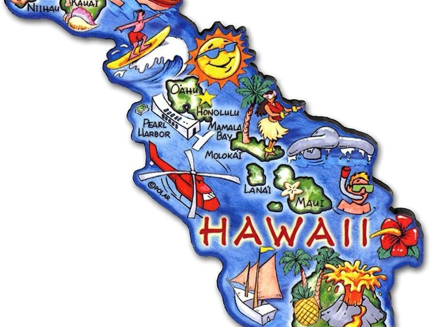 Wholesale Hawaii Artwood State Magnet Collectible Souvenir by Classic Magnets Factory & Supplier OEM