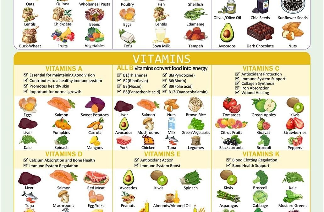 Wholesale Healthy Food Chart Magnet, Informative Nutrition Vitamins Minerals Fridge Chart,Nutrition Posters,Kitchen Conversion Chart-16″ x 12″ Factory & Supplier OEM