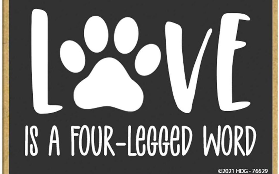 Wholesale Honey Dew Gifts, Love is a Four-Legged Word, Fun Dog Magnets, Pet Lovers Refrigerator Magnets, Funny Magnet for Fridge, 2.5 Inch by 3.5 Inch, 76629 Factory & Supplier OEM